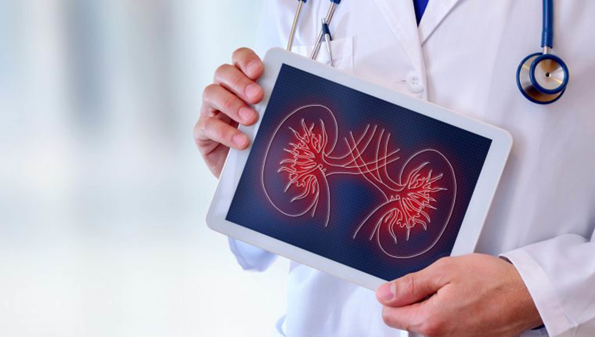 La enfermedad crónica renal va a la alza | Shutterstock