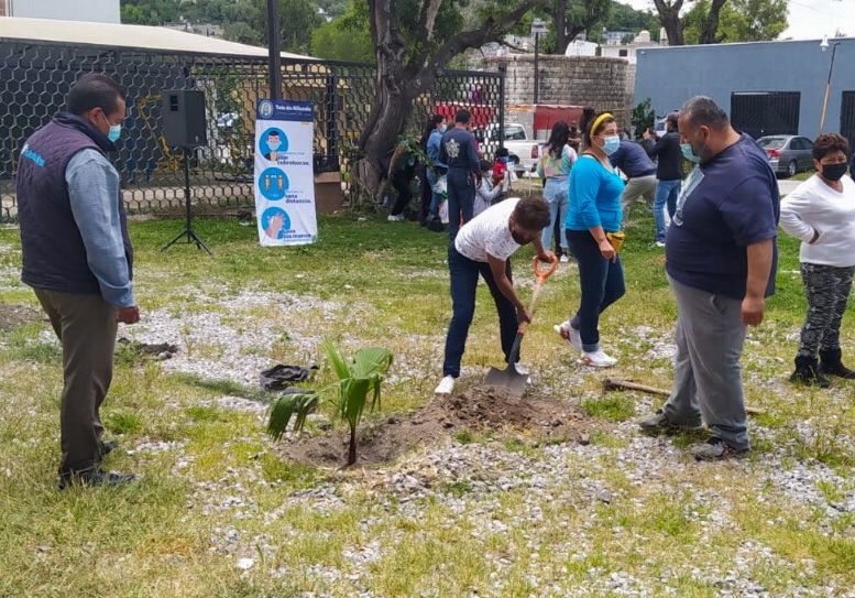 Programa de reforestación en Tula (Cortesía)