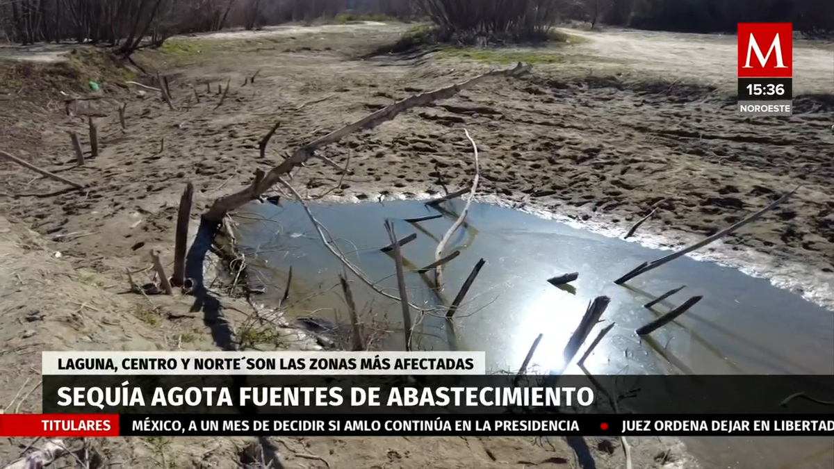 Regiones Centro, Norte y Laguna, las afectadas por sequía en Coahuila