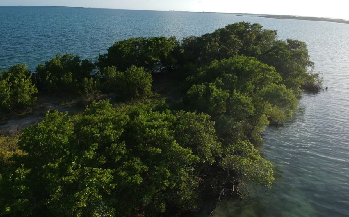 La isla en Belice fue comprada tras dos años de iniciar el proyecto en internet. | Let's Buy an Island