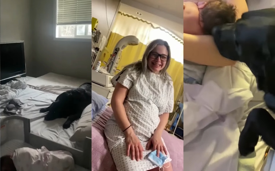Perro acompañó a su dueña a la hora del parto