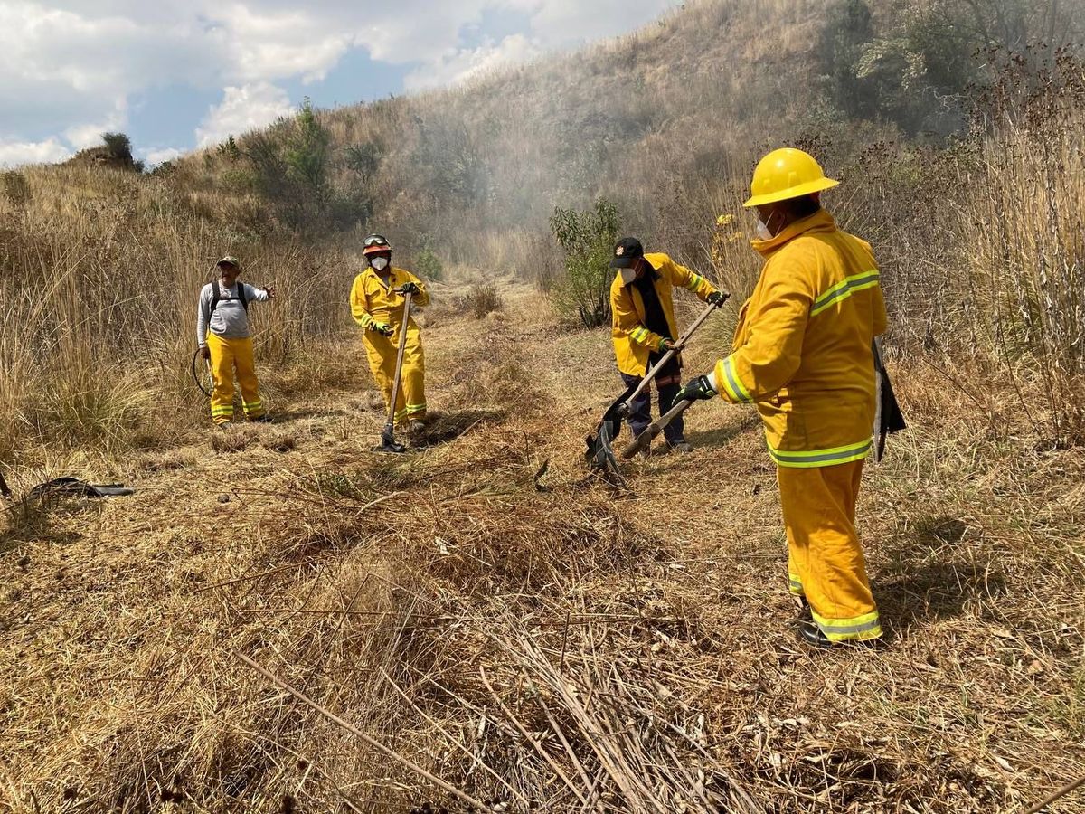 En próximos días se estarán realizando actividades de brechas corta fuegos y líneas negras en Loma Santa Fe y la Barranca Mixcoac. (Especial)