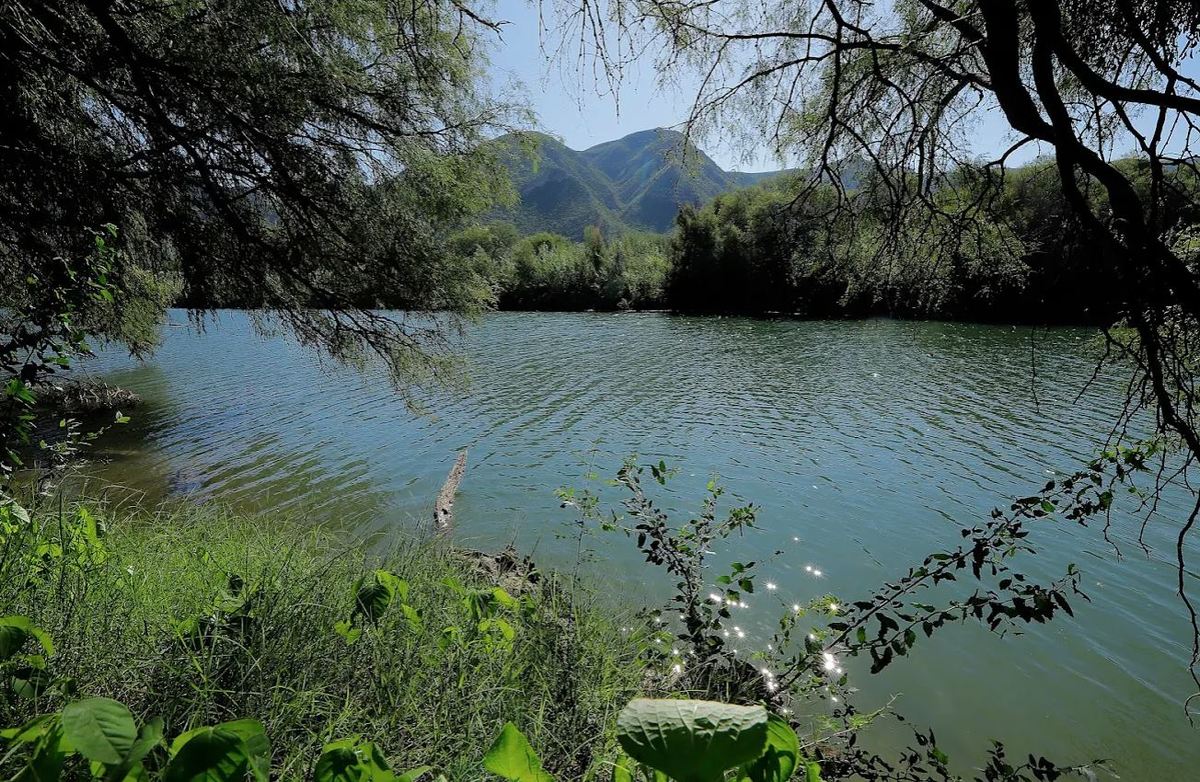 Las asociaciones civiles piden que se aborde la conservación de humedales. | Rolando Riestra
