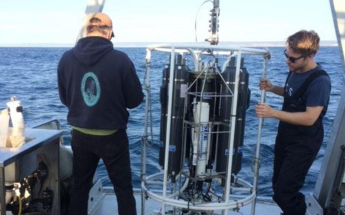 Descubren un depredador microscópico marino que captura carbono |EFE