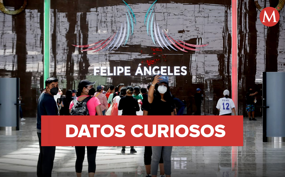 Te presentamos un listado con datos curiosos para saber más sobre este proyecto. | Araceli López
