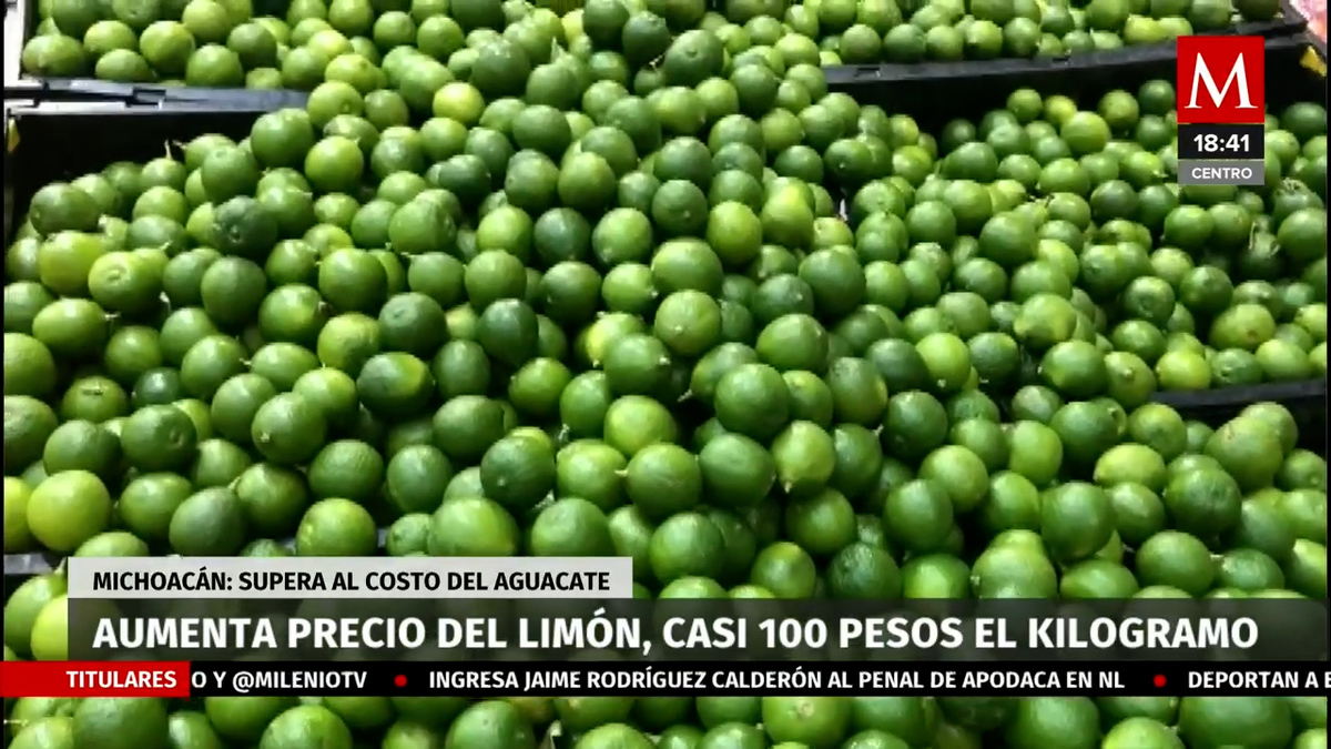 En Michoacán reportan el precio elevado del limón