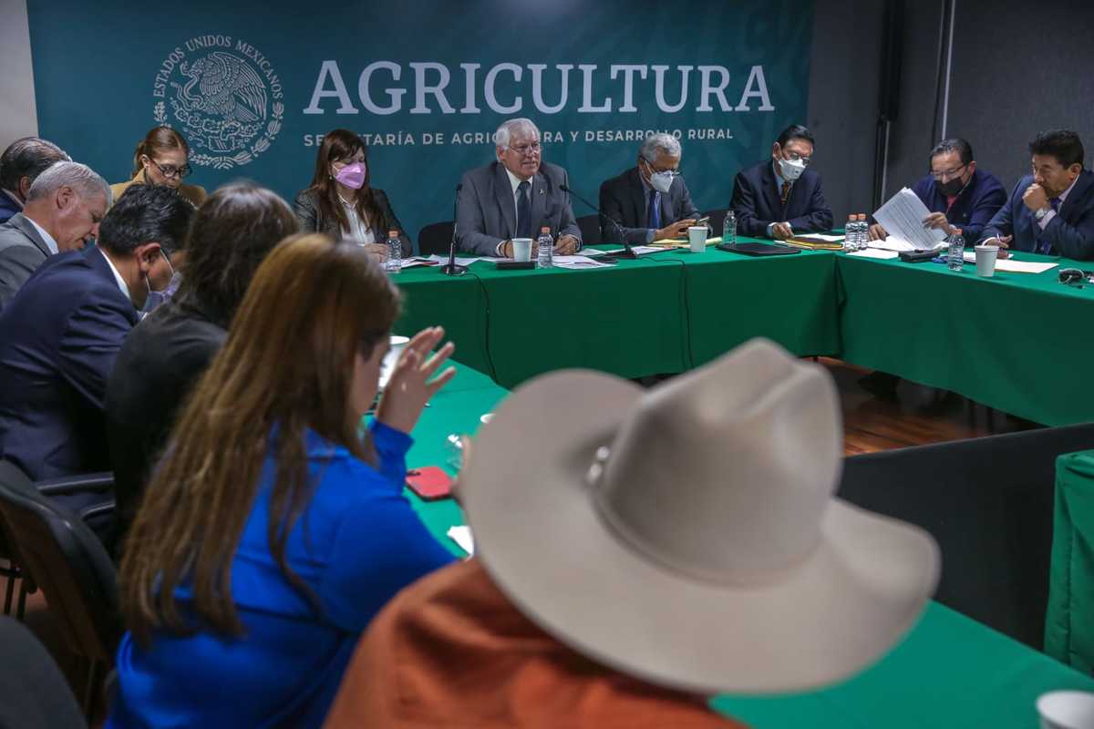 Secretaría de Agricultura y Desarrollo Rural y la Comisión de Desarrollo y Conservación Rural, Agrícola y Autosuficiencia Alimentaria de la Cámara de 