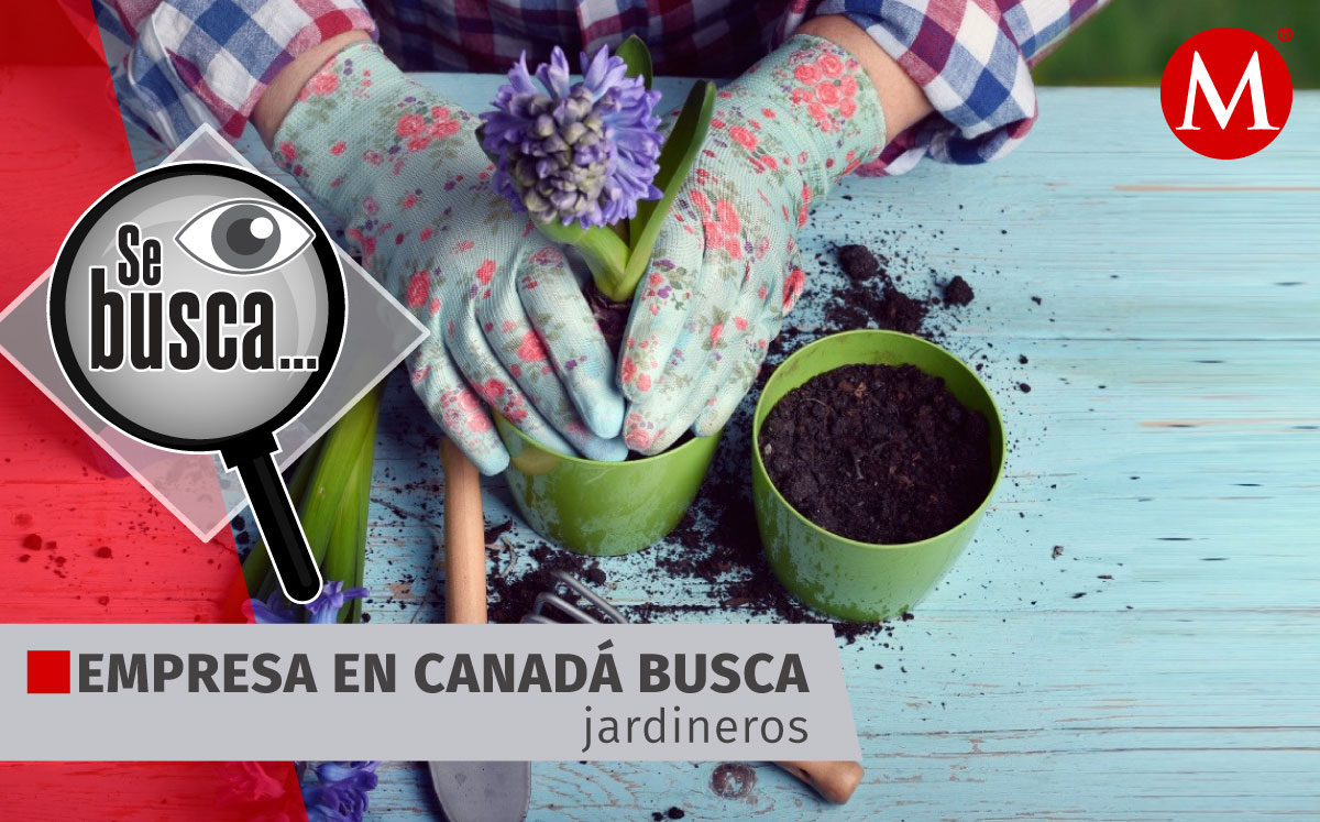 Empresa con sede en Ontario, Canada, busca gente con experiencia en jardinería. Foto: ESPECIAL