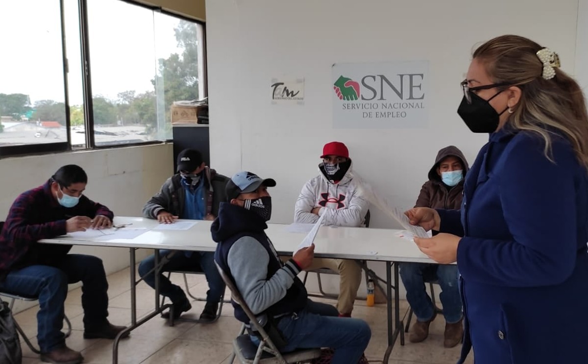 Las solicitudes para buscar trabajo llegan al SNE Tamaulipas.
