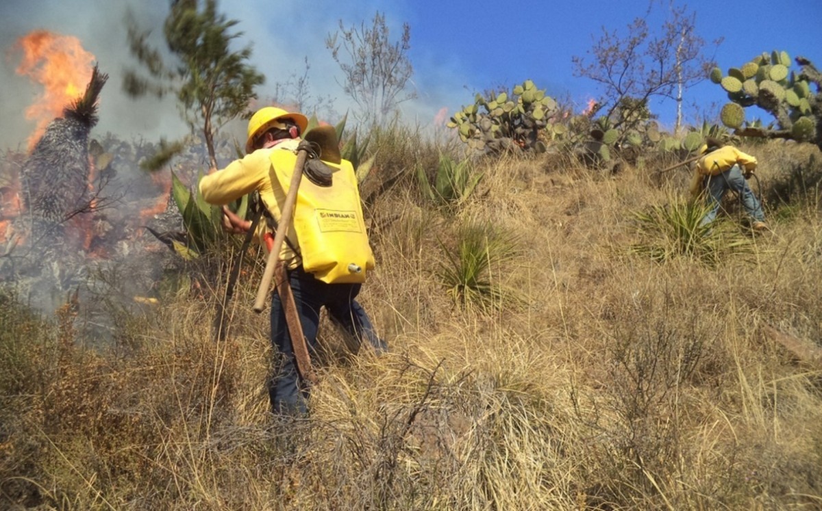 Incendios forestales