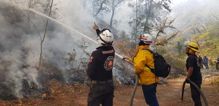 Hasta el momento los rescatistas han logrado el control del incendio en un 65 por ciento. Foto: Especial
