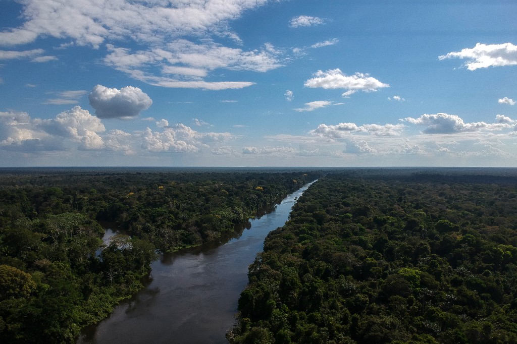 Trasladan al hospital a hermanos pequeños perdidos por 26 días en la Amazonia | AFP
