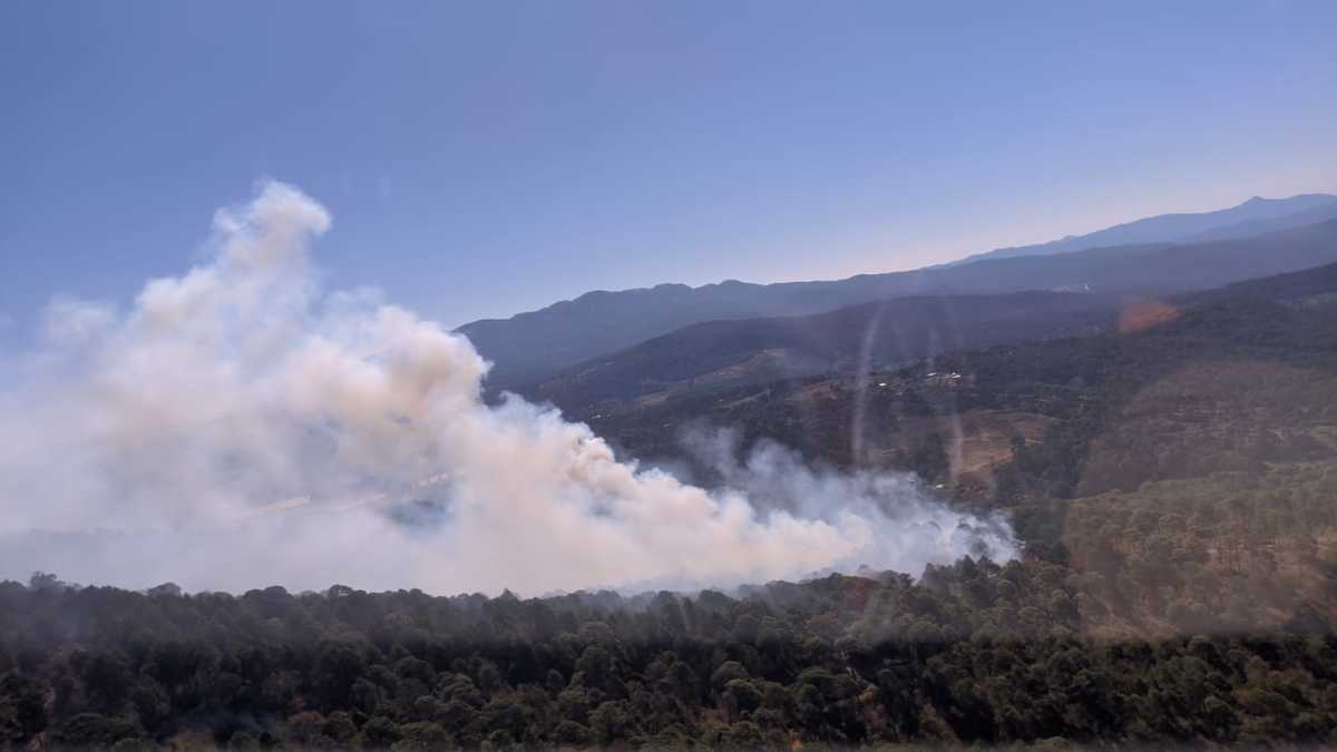 Mazamitla. Incendio consume 380 hectáreas de bosque (Cortesía)