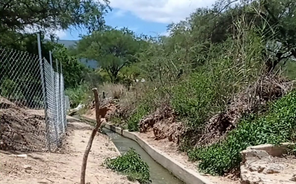 Campesinos continúan ocupando técnicas de riego para cultivos que datan de hace poco más de un siglo en Tehuacán | Especial