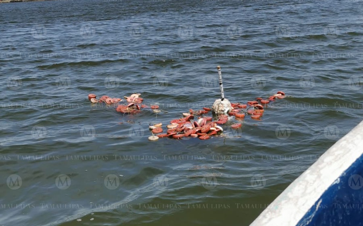 Detectan red de 60 metros utilizada por furtivos en laguna del Carpintero