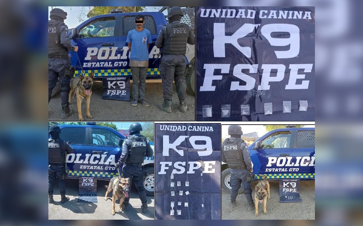 Elementos de la Unidad Canina K9 de las Fuerzas de Seguridad Pública del Estado / Especial