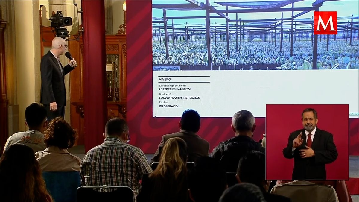 Parque ecológico del Lago de Texcoco, con avance de casi 25%