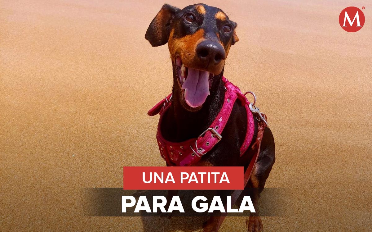 Su salud se ha visto mermada el último mes.