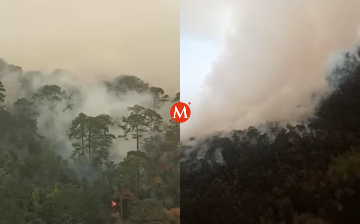 Incendio en la Biósfera de "El Cielo", Tamaulipas