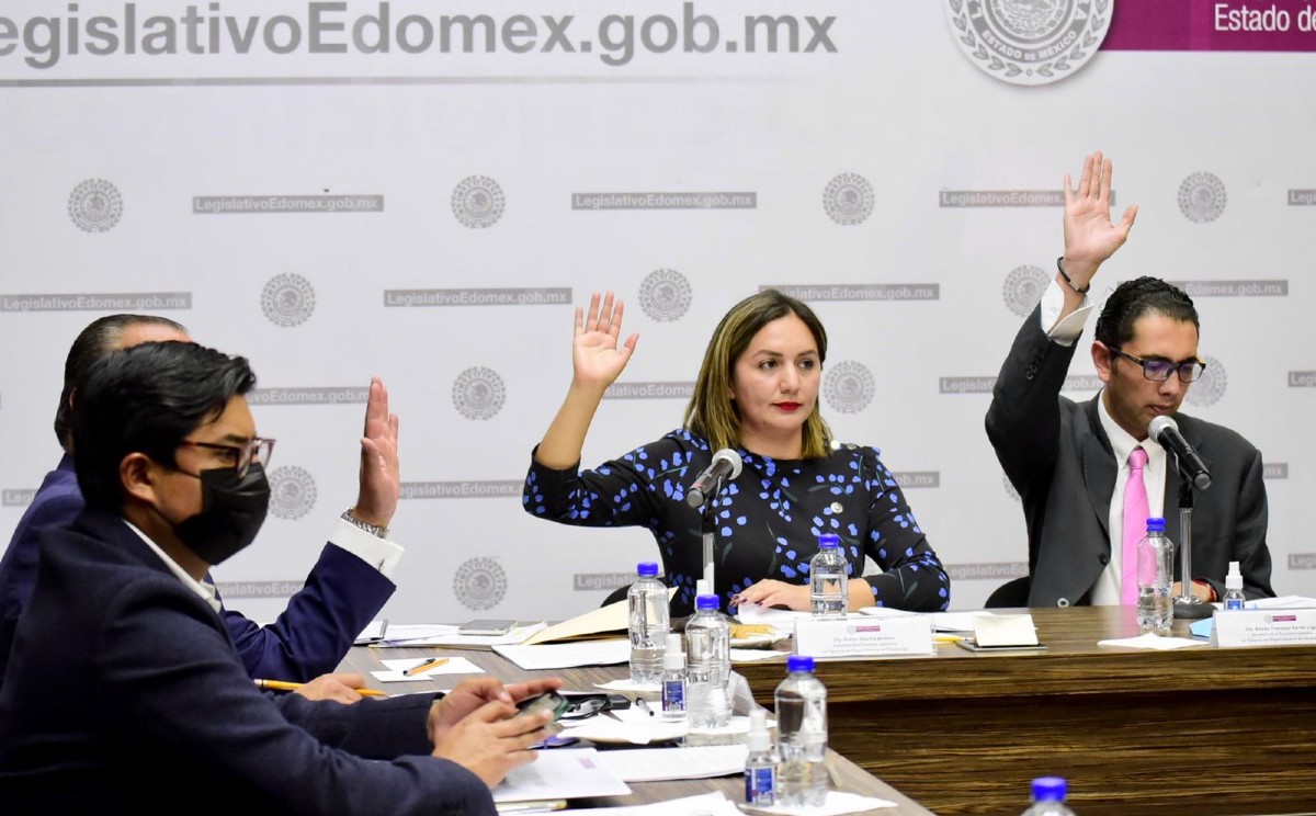 La presidenta de la comisión, Evelyn Osornio Jiménez, indicó que de los resultados no se desprenden faltas graves. (Especial)