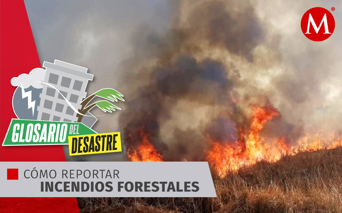 Reporte de incendios forestales. | Diseño Milenio