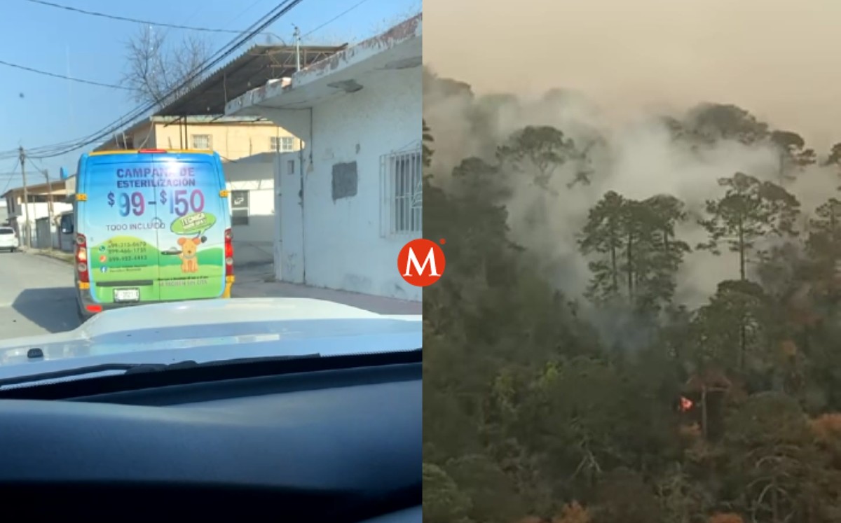 Veterinarios de Reynosa viajan a atender animales afectados por incendio en El Cielo