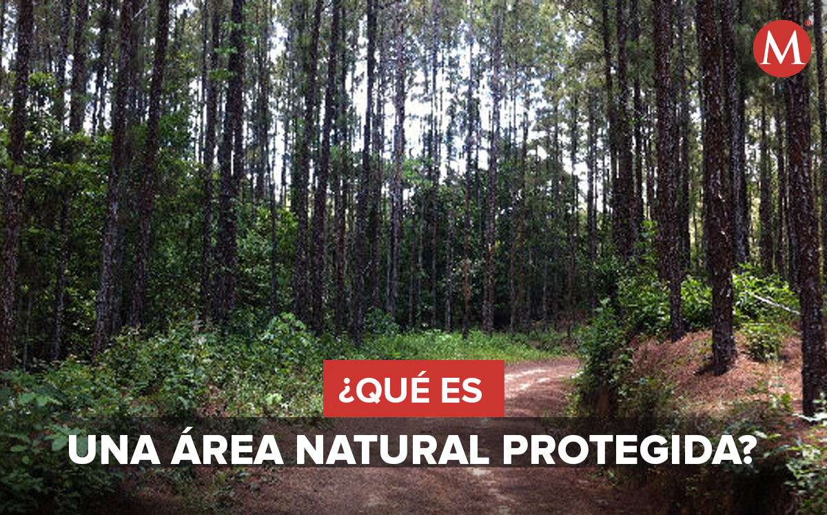 Áreas Naturales Protegidas en México. (Especial)