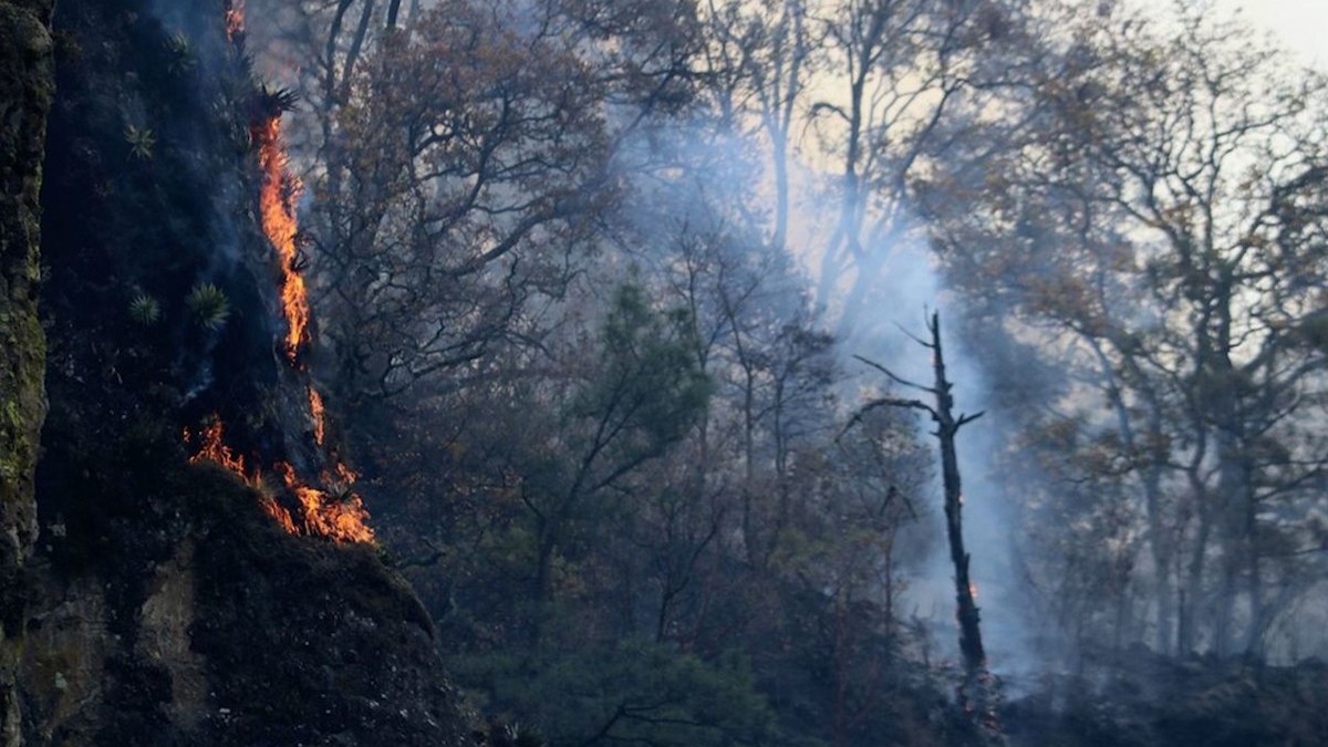 Más de 540 brigadistas participan en labores tras incendio en cerro del Tepozteco