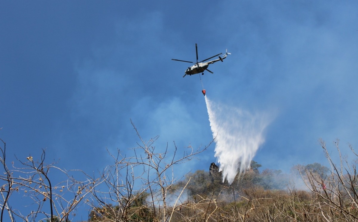 Controlan al 100% incendio en el cerro del Tepozteco, en Morelos- Grupo ...