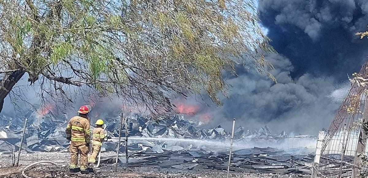 Los fuertes vientos ocasionaron que el incendio se propagara de manera rápida. Foto: Leyda Estrada