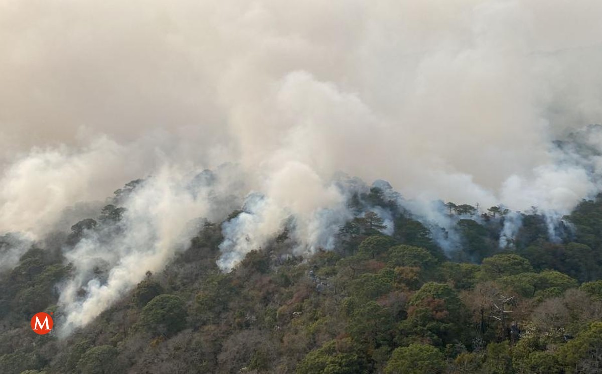 Incendio en El Cielo, Tamaulipas hoy 24 de marzo de 2022. (Cortesía)