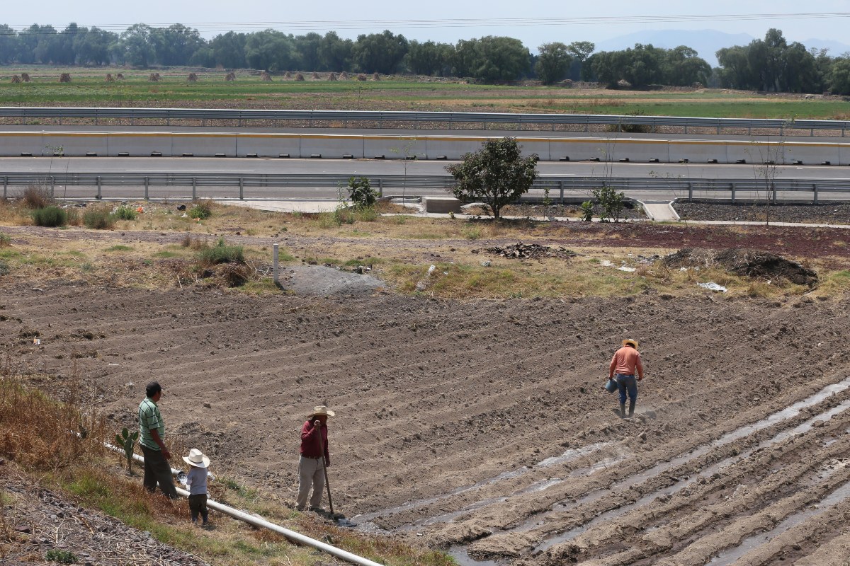Obras de recuperación del Lago de Texcoco. (Javier Ríos)
