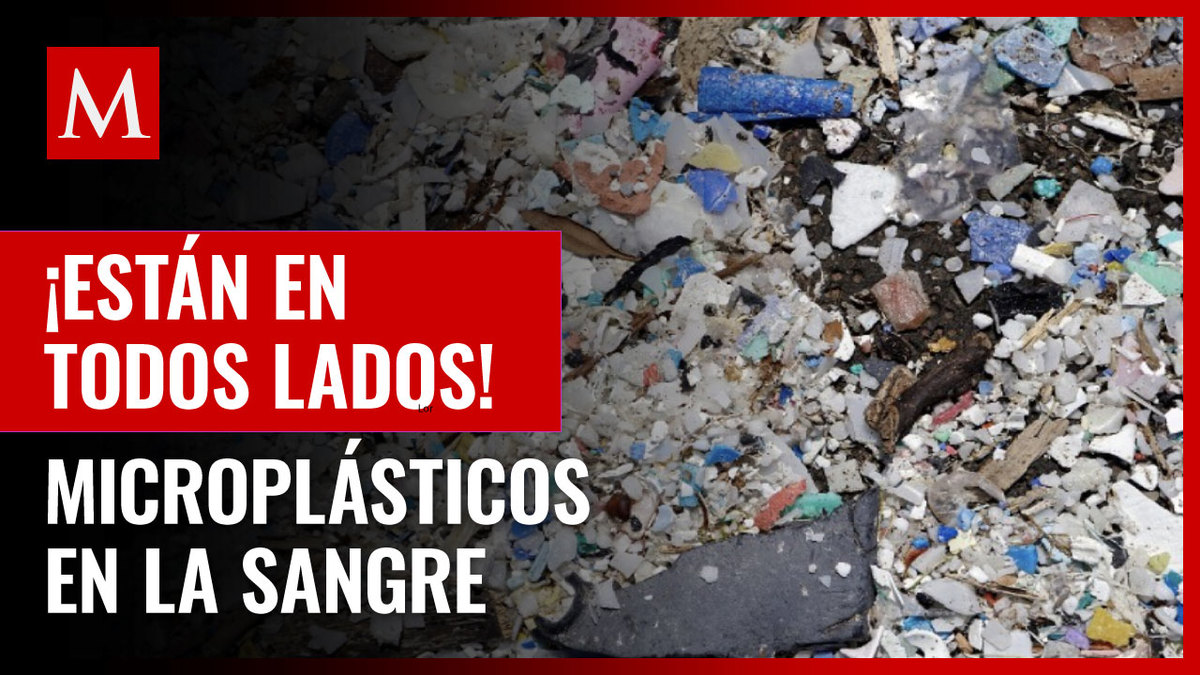 Hallan microplásticos en la sangre humana por primera vez