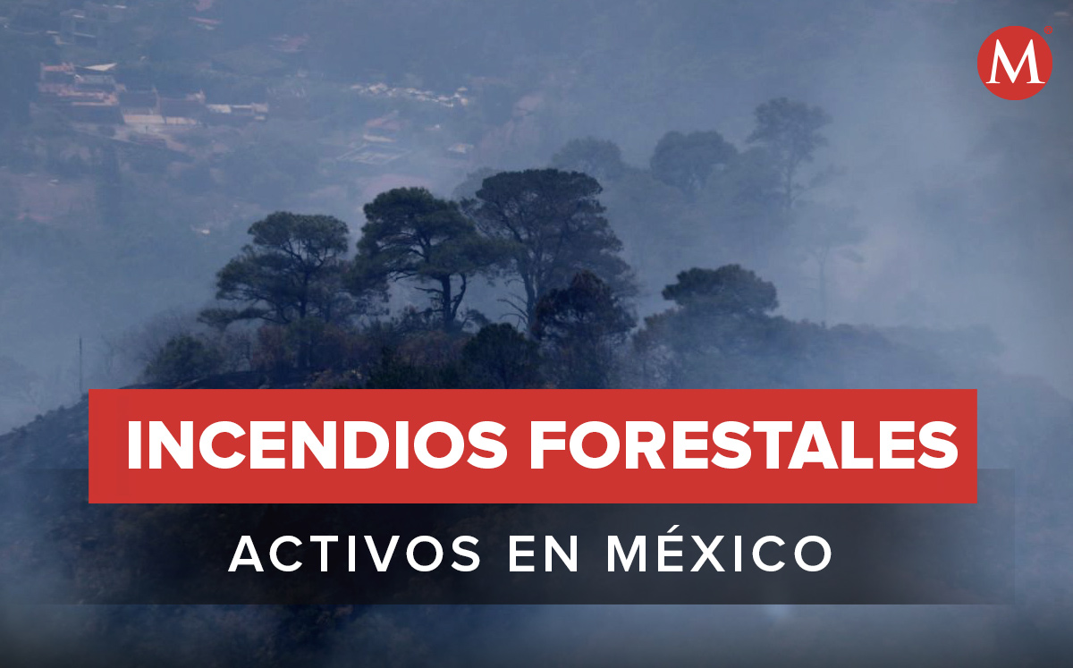 Incendios forestales activos en México. (Foto: Cuartoscuro / Diseño: MILENIO)