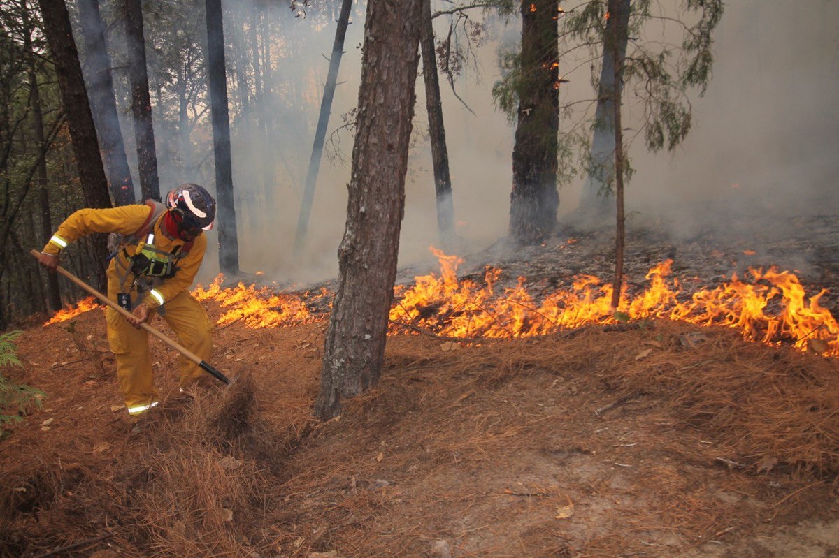 Incendio en Sierra de Santiago. Foto: Protección Civil
