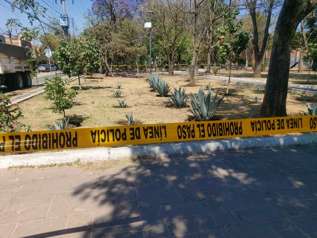 El hallazgo ocurrió en un parque público ubicado sobre la colonia La Florida (Rosario Álvarez)
