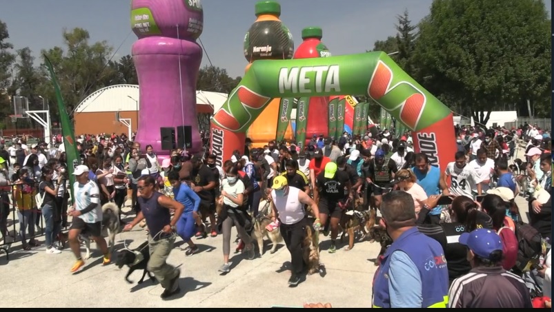 Maratón canino en Coyoacán | Especial