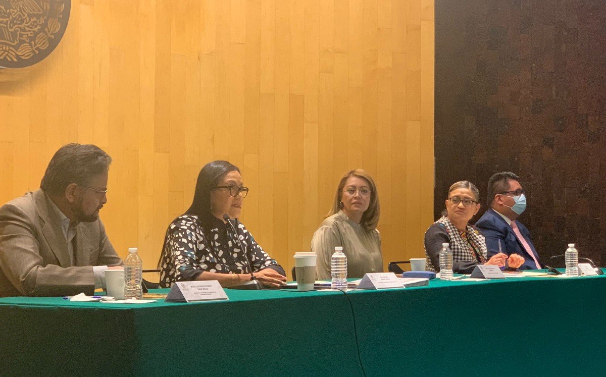 Ariadna Montiel llamó a proteger los apoyos sociales, becas y pensiones de la política de bienestar que otorga el gobierno. | Twitter