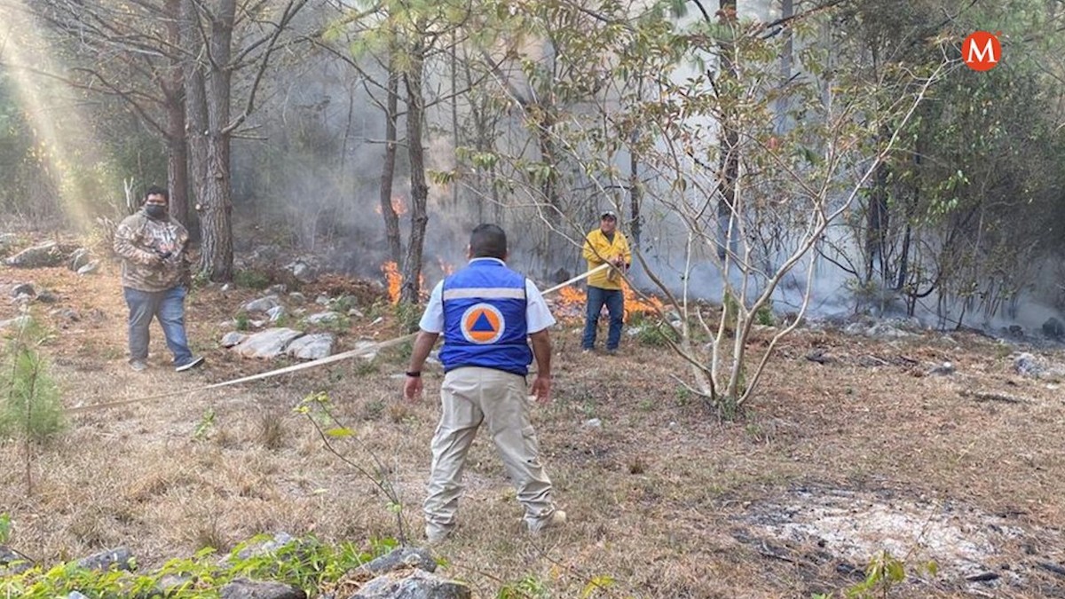 Aumenta a 710 hectáreas afectadas en "El Cielo" por incendio forestal
