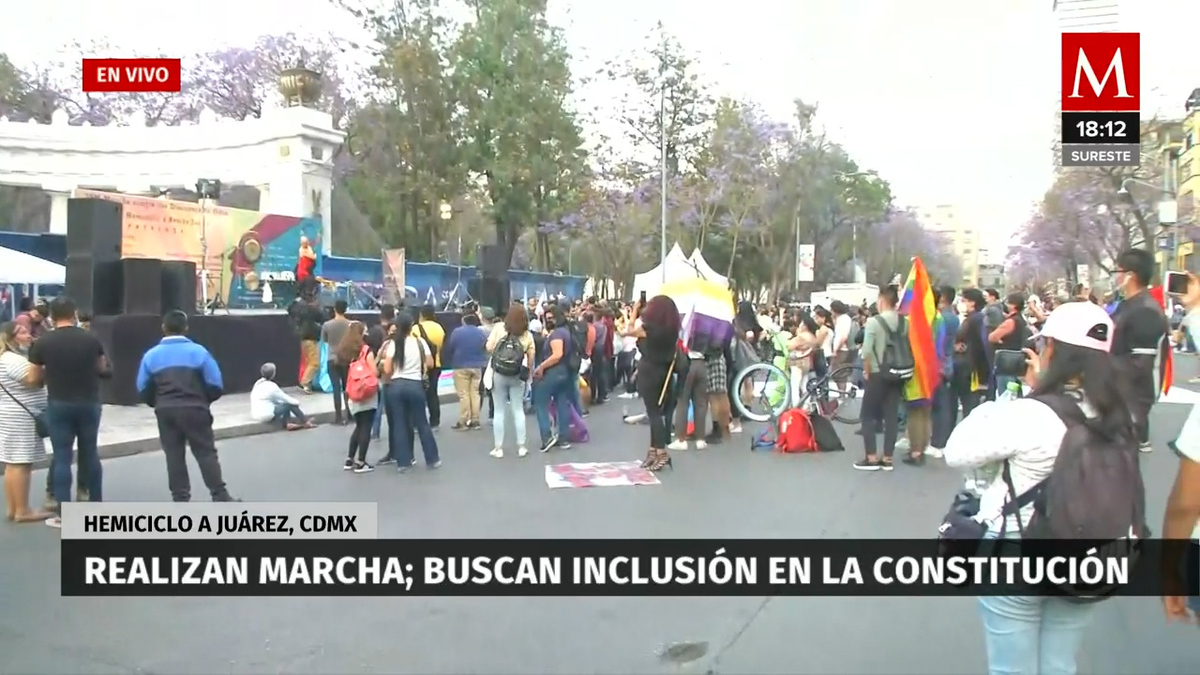 Comunidad LGBT realizan marcha buscando inclusión en la constitución