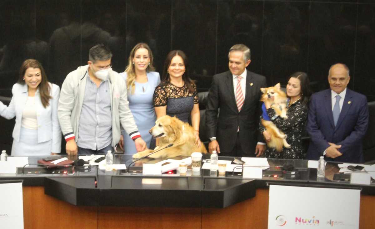 El objetivo del foro fue analizar los factores del maltrato animal y su correlación con la violencia social. (Especial)