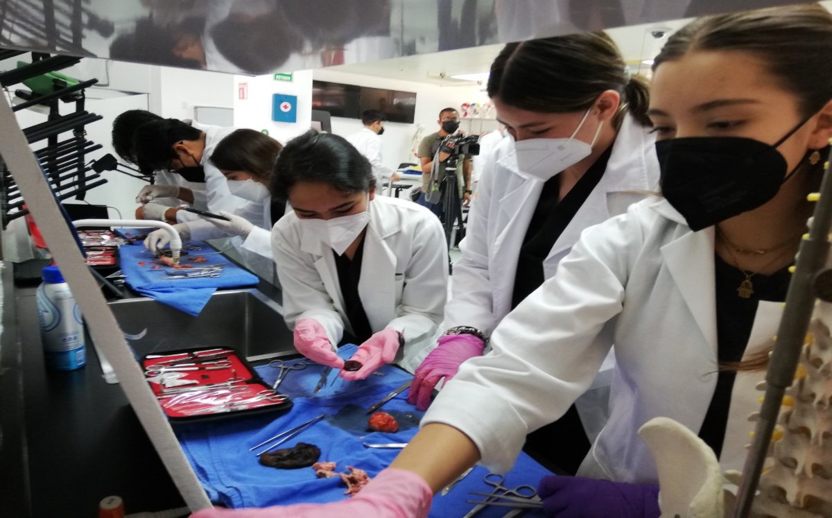 Aumenta desigualdad en la ciencia | Jaime Zambrano