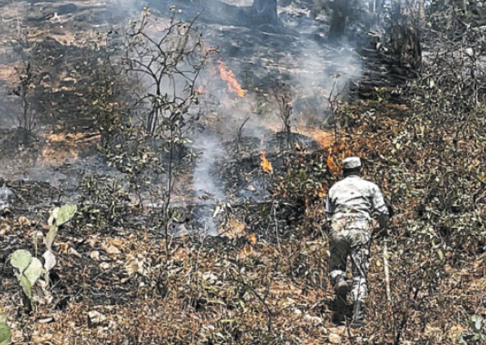 Hasta cuatro brigadas de elementos del Ejército Mexicano participan en los operativos contra el incendio