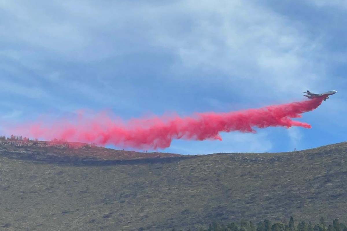 Incendio forestal en Nuevo León. (Especial)