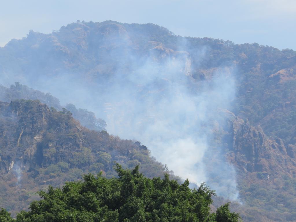 Las afectaciones en el cerro son considerables. (David Monroy)