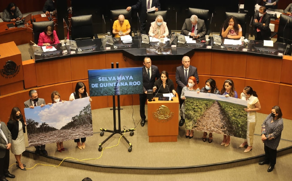 Morena en Senado frena comparecencia por Tren Maya