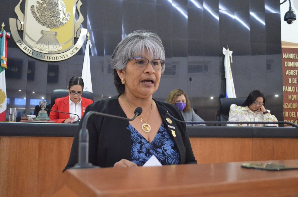Diputada Luisa Trejo.