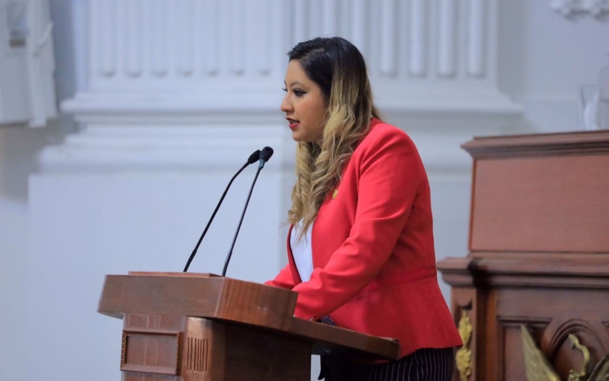 La diputada del PRI propuso que los créditos se paguen a dos años. | Especial