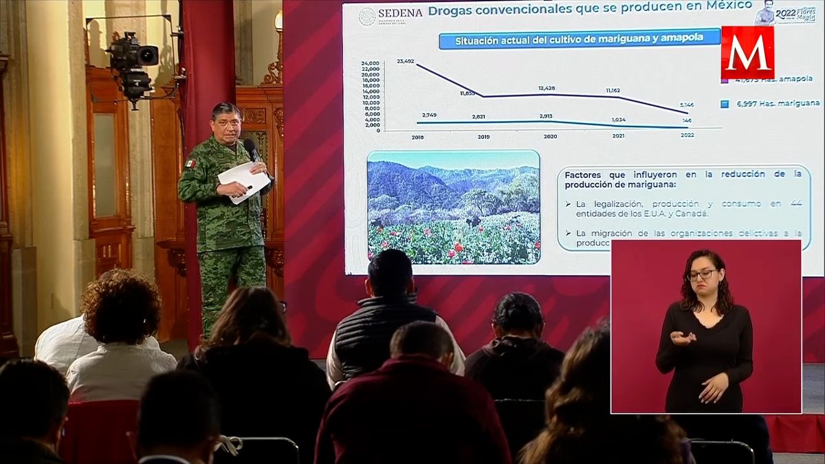 Por drogas sintéticas, producción de amapola y mariguana en México...