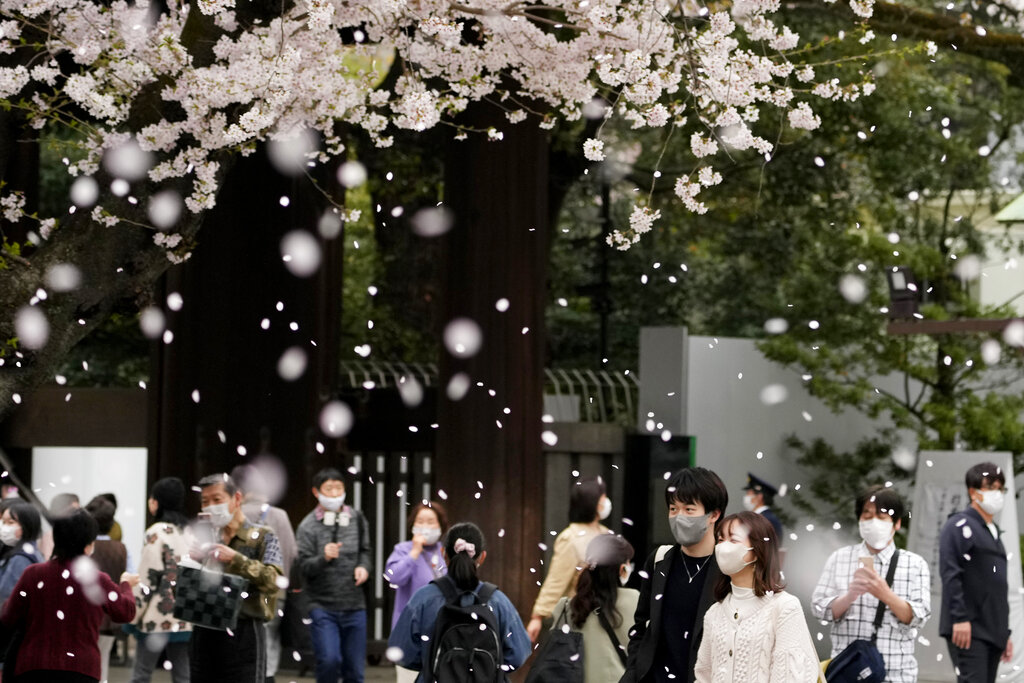 Los jóvenes en Japón podrán ser adultos a partir de los 18 años, y no a los 20 como lo eran en la anterior legislación. (AP)